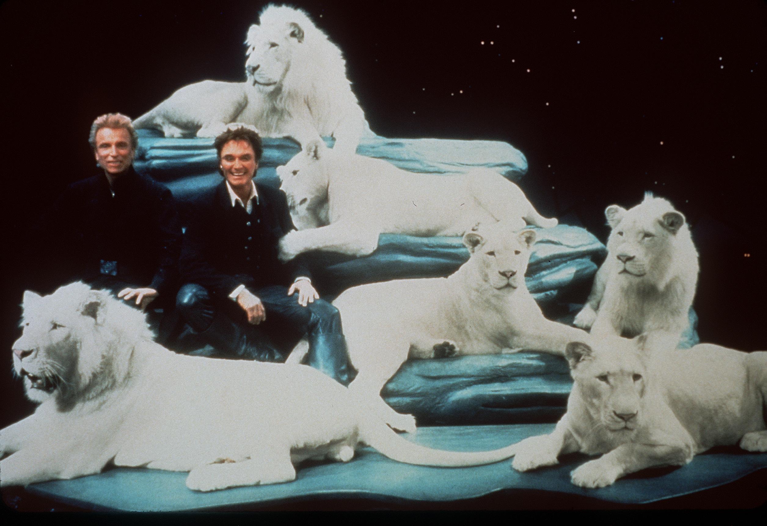 Siegfried & Roy with their white Lions on the stage set of their Las Vegas show 
